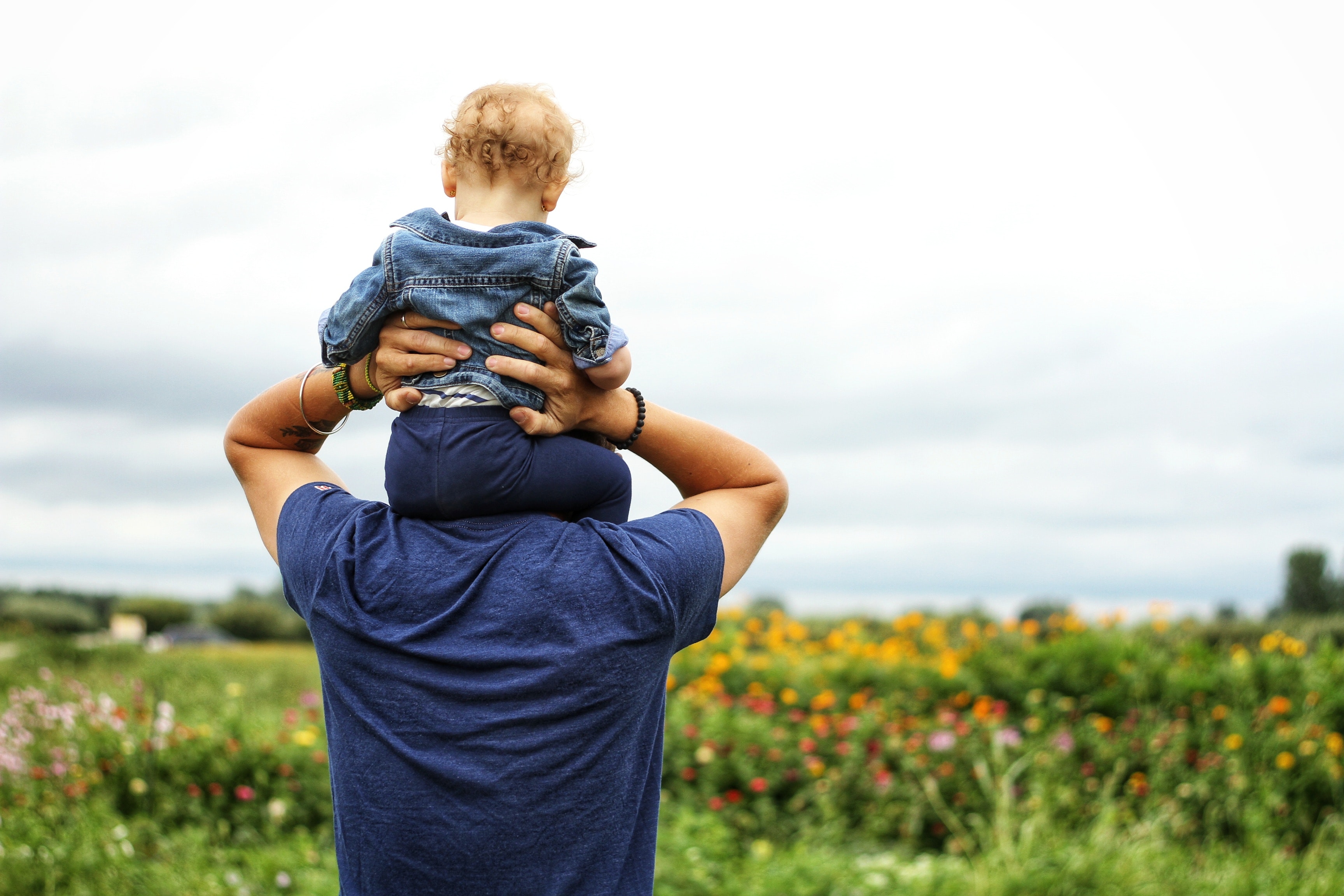 toddler-on-mans-shoulders-walking-through-flowers